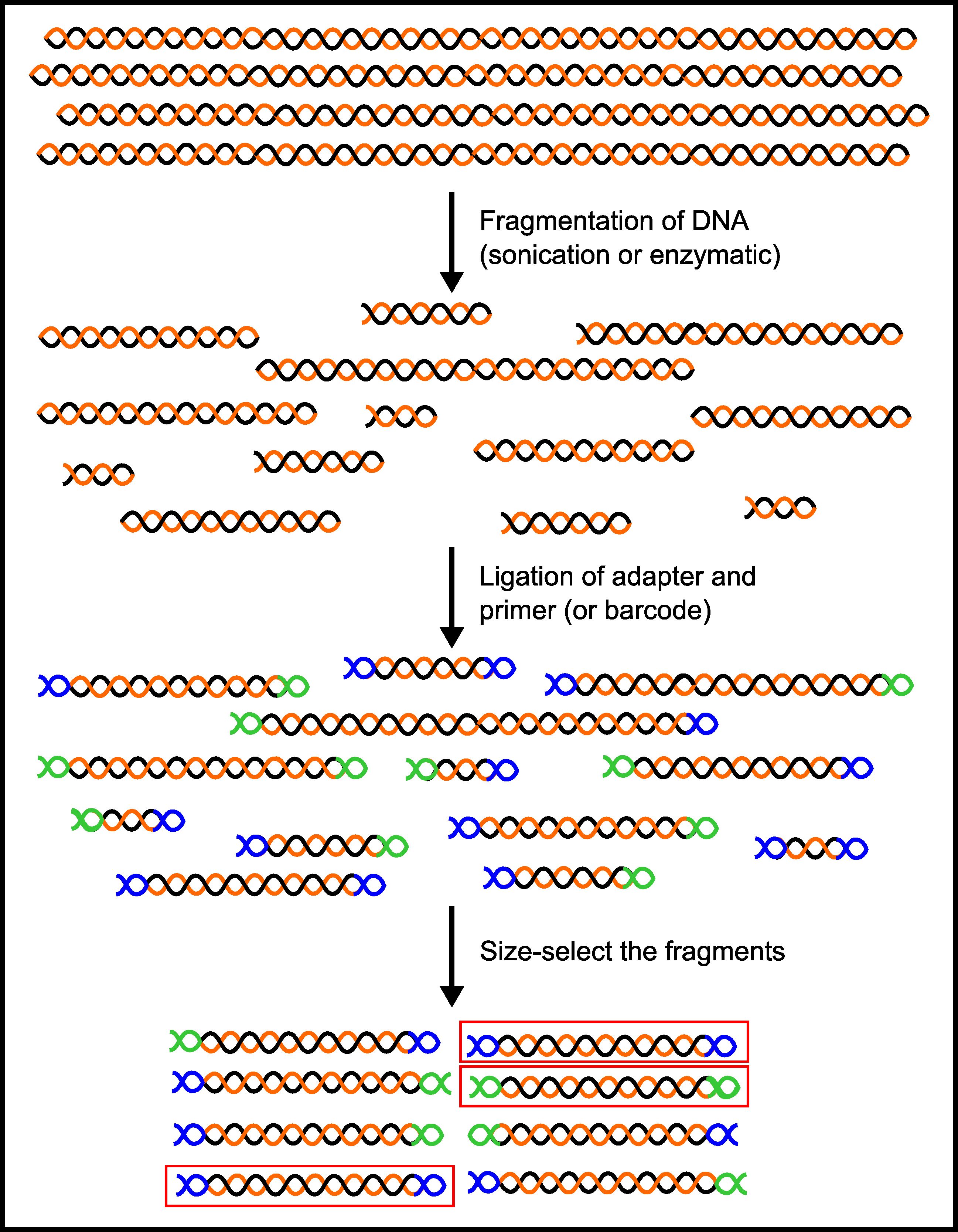 next-generation-sequencing